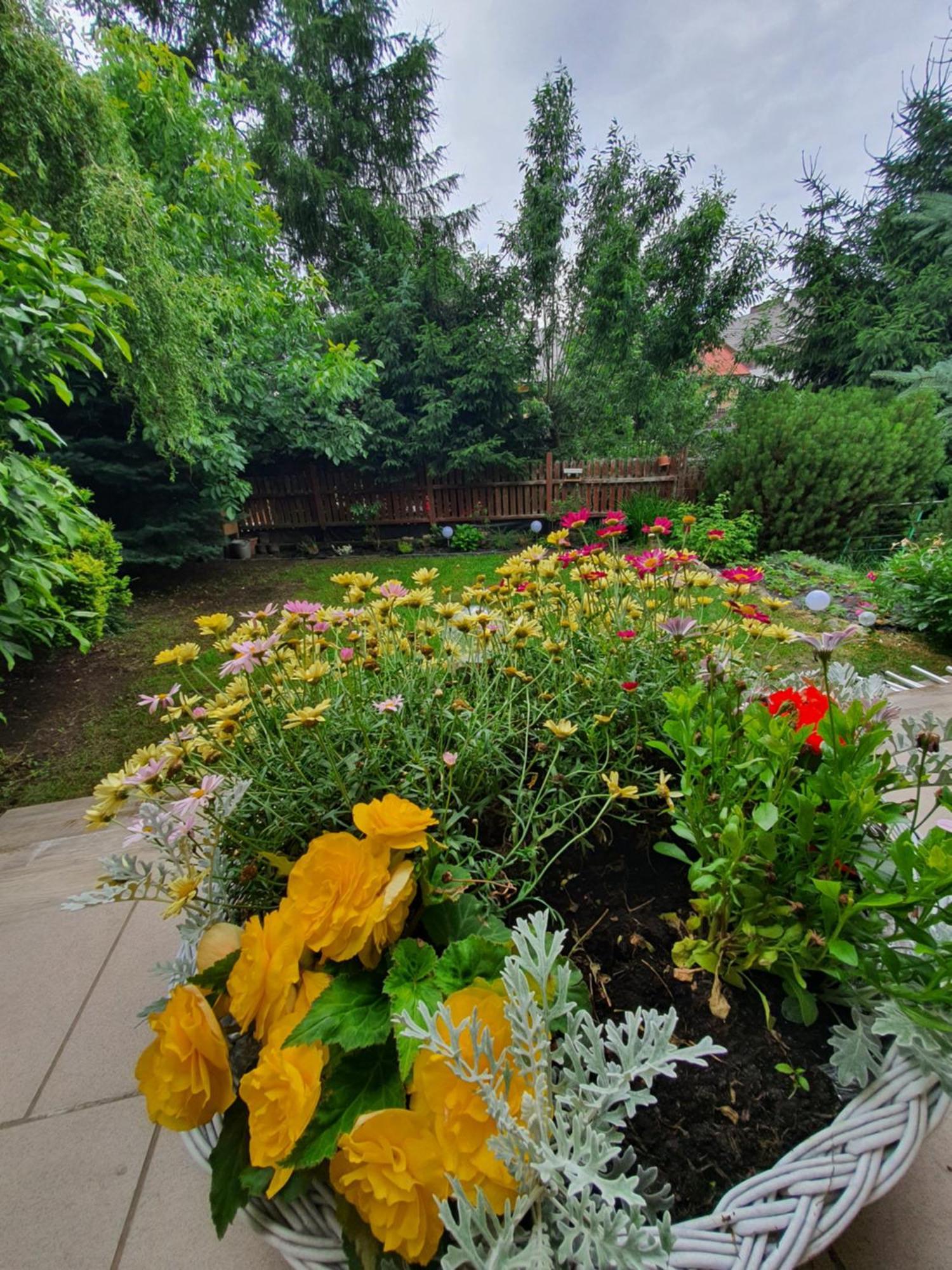 2 Przy Termach Cieplickich * Jelenia Góra